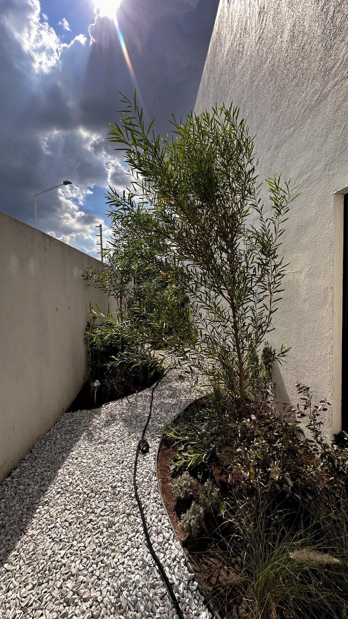Pasillo de jardinería con camino de grava blanca